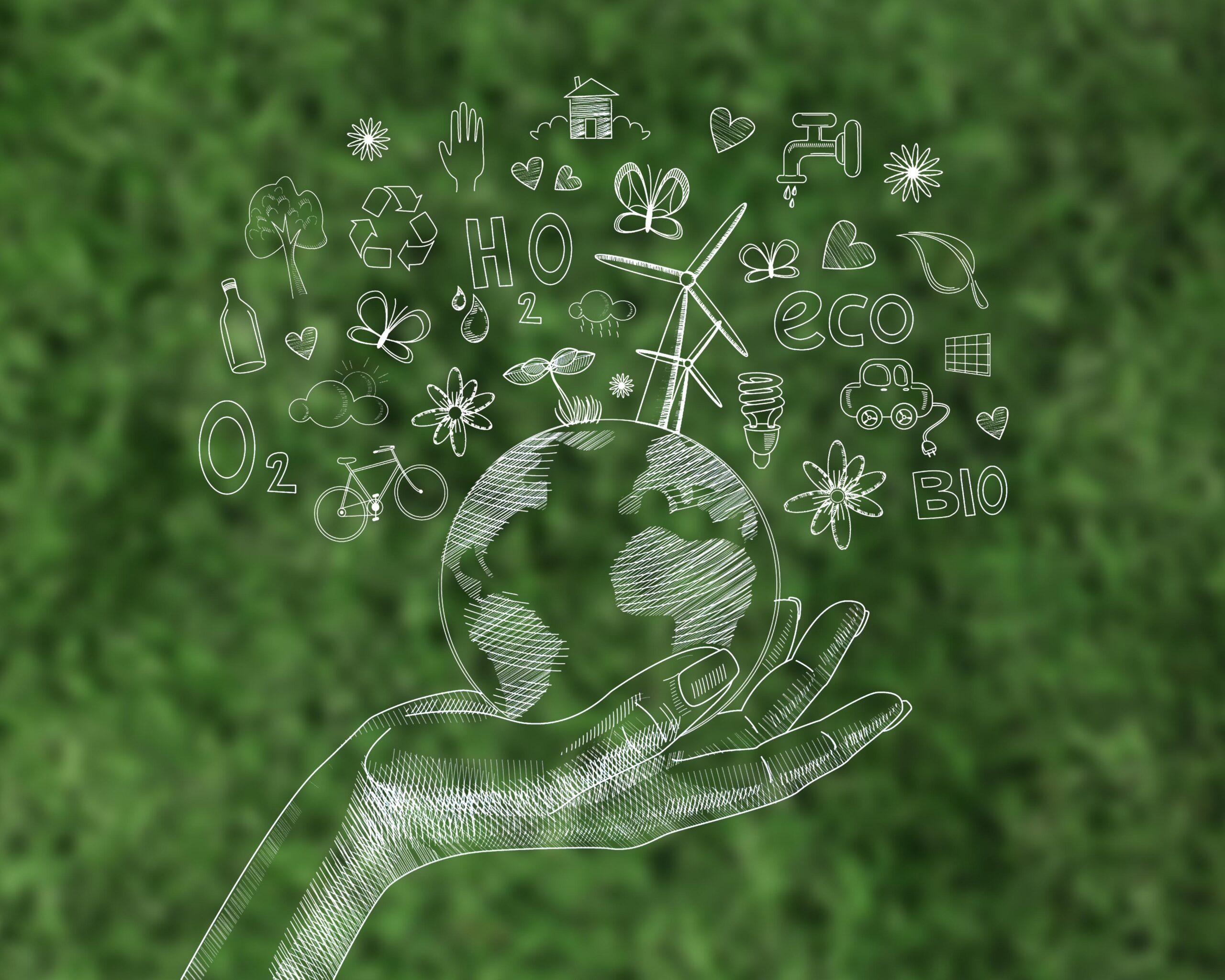 A importância das embalagens sustentáveis para o futuro do planeta